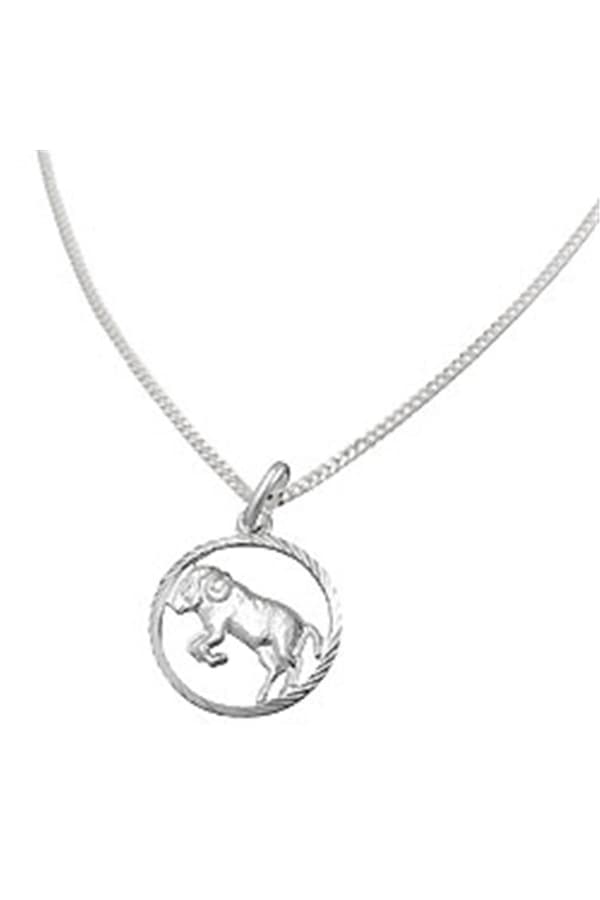 Set Zodiac Aries + Chain Silver 925 - GL94104-45