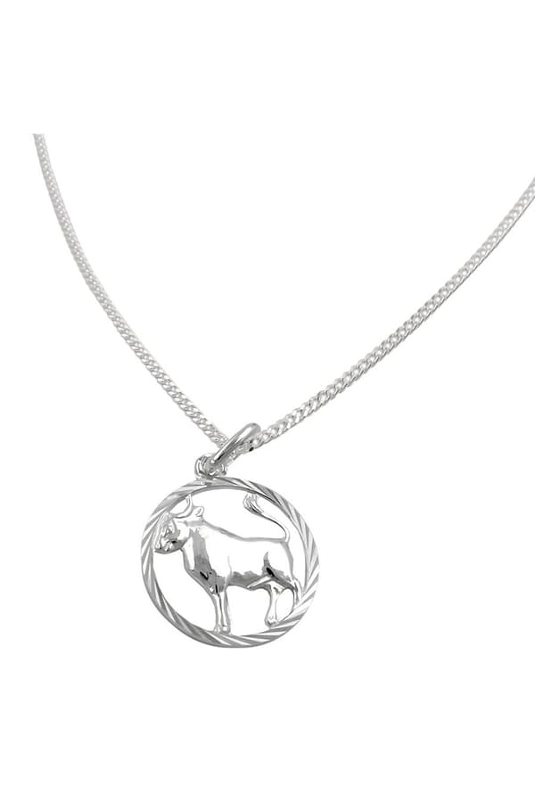 Set Zodiac Taurus + Chain Silver 925 - GL94105-45