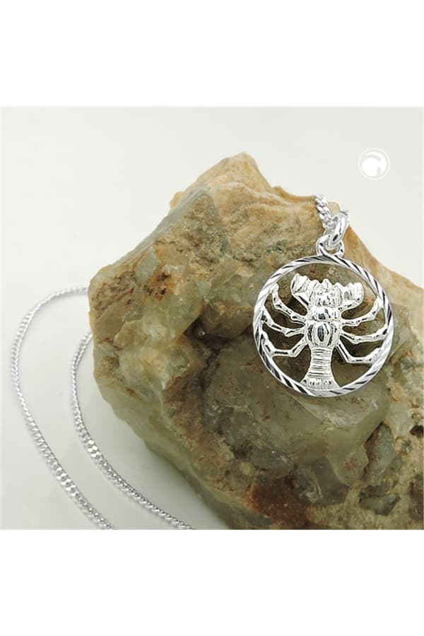 Set Zodiac Cancer + Chain Silver 925 - GL94107-45