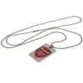 Pikkukuva 1 / 3: Arsenal FC Enamel Crest Dog Tag And Chain