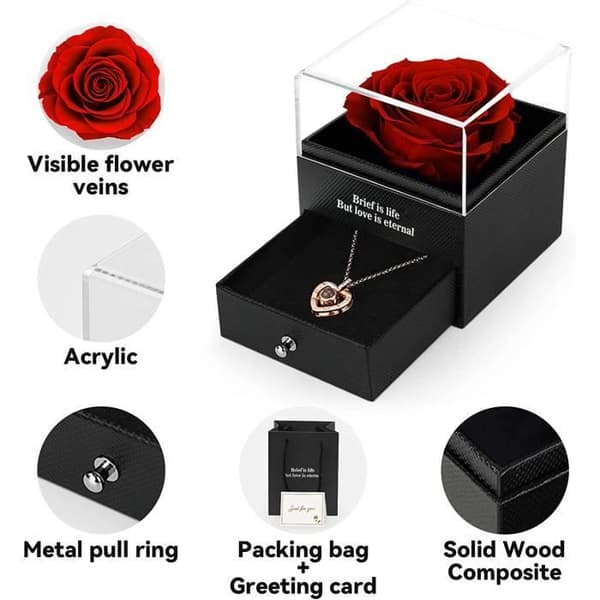 Kvinnors hjärta Halsband 100 Språk Projekt Vän Mors Dag Lovers Alla hjärtans dag present