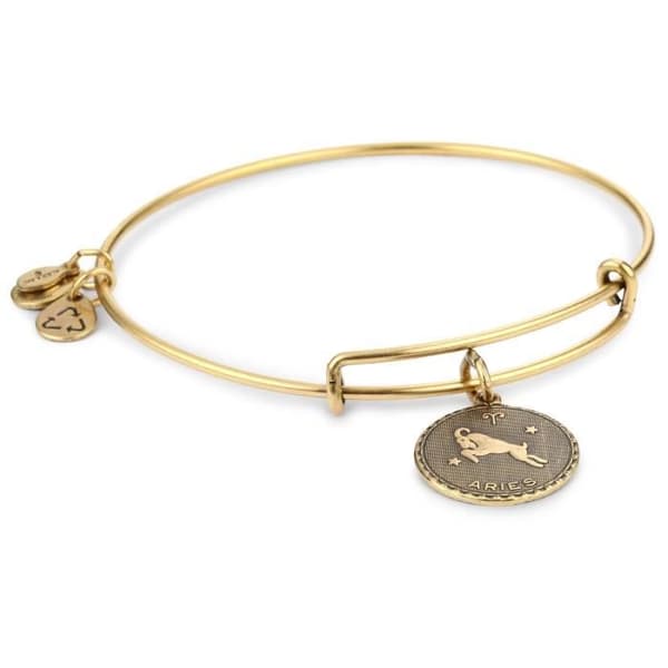 Bijoux - Alex And Ani - A07EB40ARRG - Låter - Koppar - Kvinna