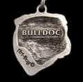 Miniatyrbild 4 av 7: Engelsk Bulldog, Bulldog I - halsband med hund, silverpläterat hänge för en hundfantast, unika Art-Dog-smycken