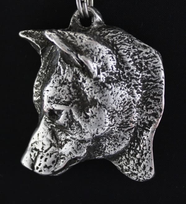 Shiba Inu - halsband med en hund, silverpläterat hänge för en hundfantast, unika Art-Dog-smycken