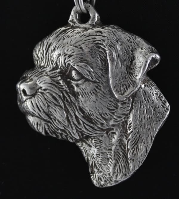 Border Terrier - halsband med en hund, silverpläterat hänge för en hundfantast, unika Art-Dog-smycken