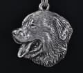 Miniatyrbild 3 av 7: Berner Sennenhund, Berner Sennenhund - halsband med hund, silverpläterat hänge för en hundfantast, unika Art-Dog smycken