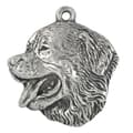 Miniatyrbild 6 av 7: Berner Sennenhund, Berner Sennenhund - halsband med hund, silverpläterat hänge för en hundfantast, unika Art-Dog smycken