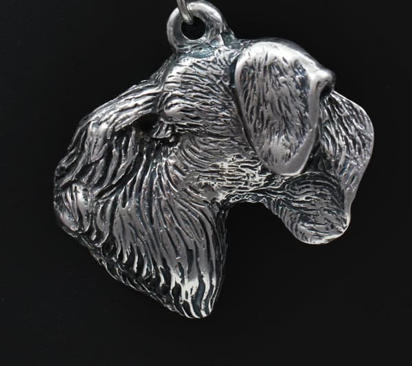Czech Terrier, Cesky Terrier - halskæde med en hund, sølvbelagt vedhæng til en hundefan, unikke Art-Dog smykker