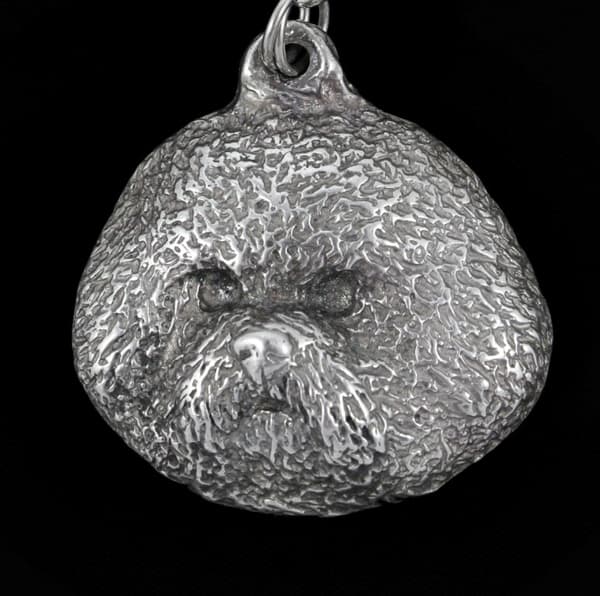 Bichon Frise, Tenerife Dog - kaulakoru koiran kanssa, hopeoitu riipus koirafanille, ainutlaatuiset Art-Dog-korut