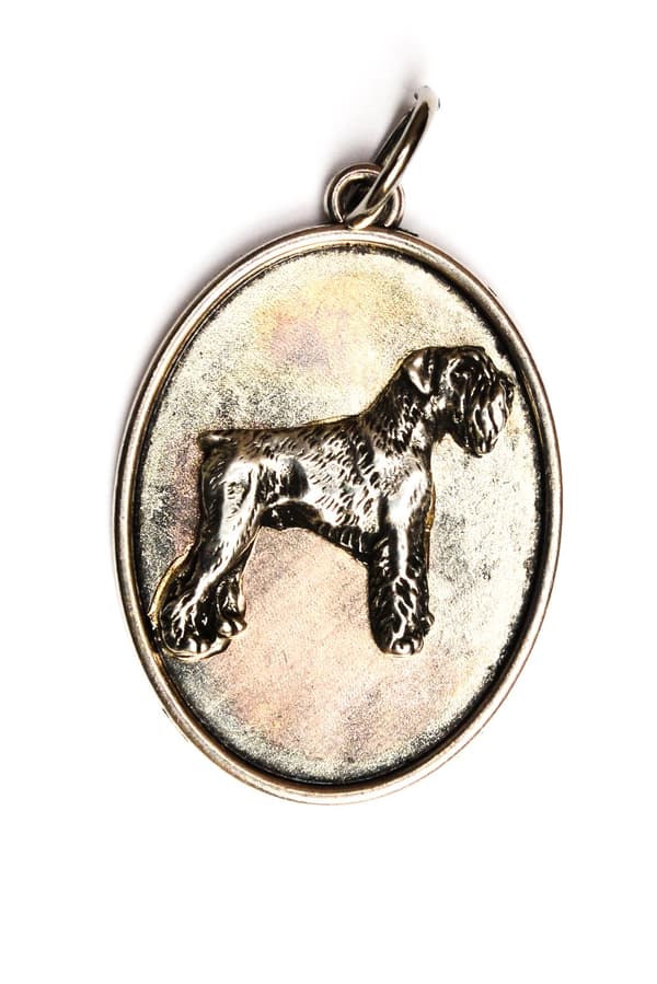 Schnauzer, Schnauzer - halsband med en hund, hänge för en hundmamma, unika smycken av Art-Dog