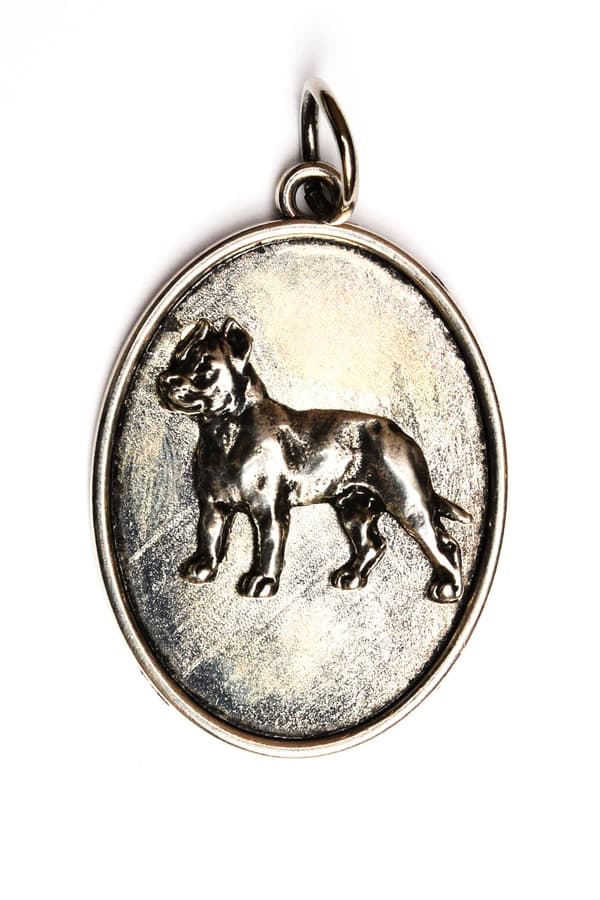 Cane Corso Italiano I - ett halsband med en hund, ett hänge för en hundmamma, unika smycken från Art-Dog