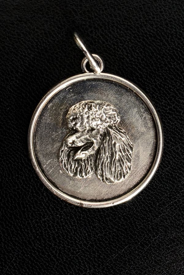 Pudel - halsband med en hund, hänge för en hundmamma, unika Art-Dog smycken