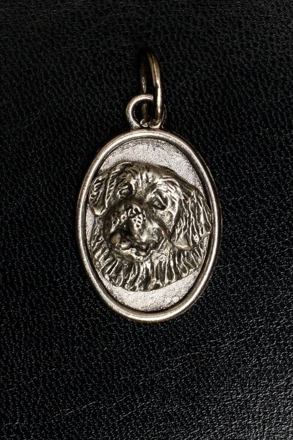 St. Bernard, St. Bernard, St. Bernarda - kaulakoru koiran kanssa, riipus koiran äidille, ainutlaatuiset Art-Dog korut