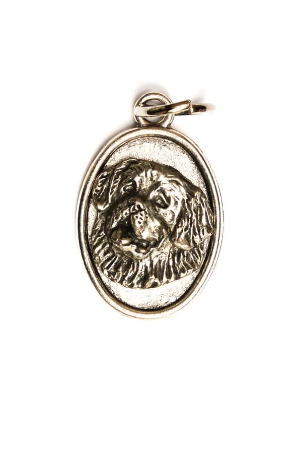 St. Bernard, St. Bernard, St. Bernarda - kaulakoru koiran kanssa, riipus koiran äidille, ainutlaatuiset Art-Dog korut