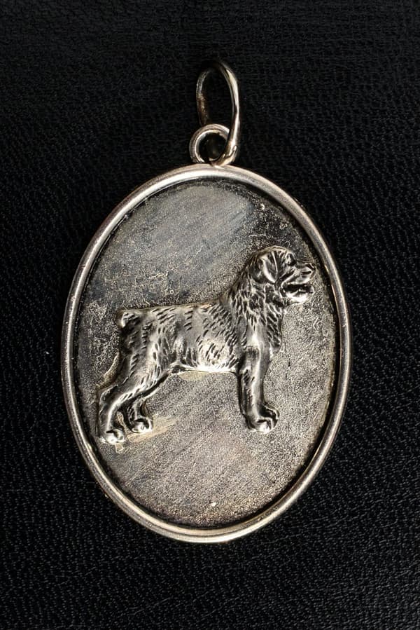 Rottweiler - halsband med en hund, hänge för en hunds mamma, unika Art-Dog smycken