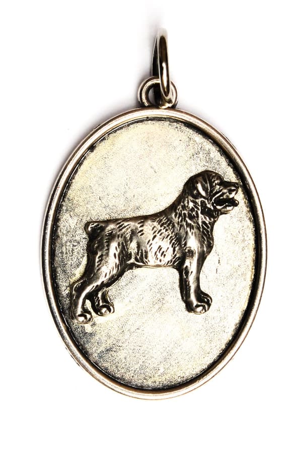 Rottweiler - halsband med en hund, hänge för en hunds mamma, unika Art-Dog smycken