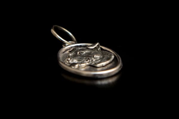 American Staffordshire terrier, Amstaff, Amstaf - halsband med en hund, hänge för en hundmamma, unika smycken av Art-Dog
