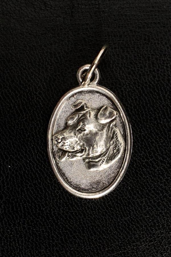 American Staffordshire terrier, Amstaff, Amstaf - halsband med en hund, hänge för en hundmamma, unika smycken av Art-Dog