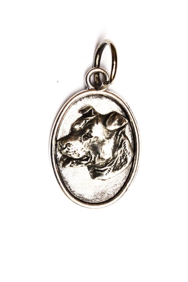 American Staffordshire terrier, Amstaff, Amstaf - halsband med en hund, hänge för en hundmamma, unika smycken av Art-Dog