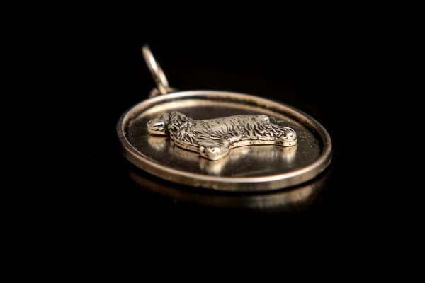Engelsk Cocker Spaniel - halsband med en hund, hänge för en hunds mamma, unika Art-Dog smycken