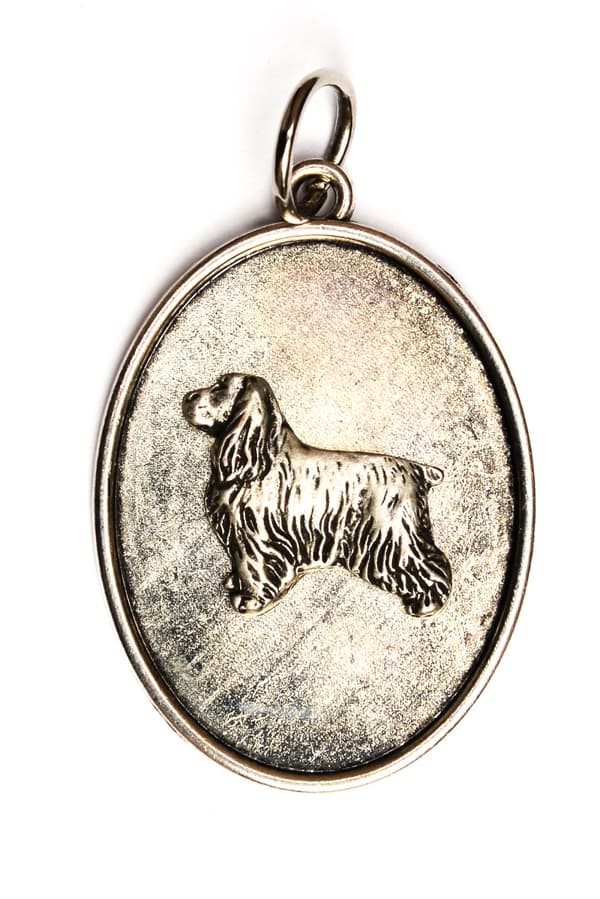 Englannin cockerspanieli - kaulakoru koiran kanssa, riipus koiran äidille, ainutlaatuiset Art-Dog-korut