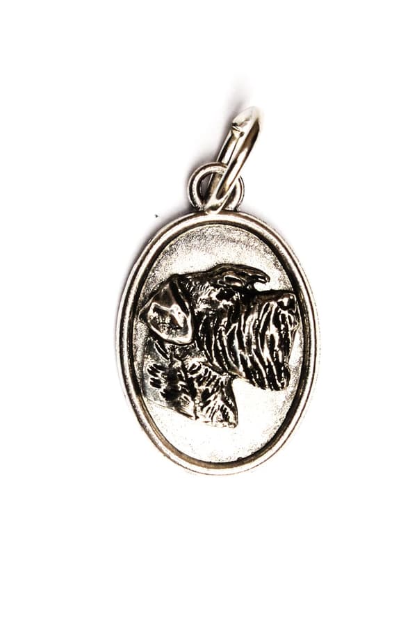 Schnauzer, Schnauzer I - halsband med en hund, hänge för hundmamma, unika Art-Dog smycken