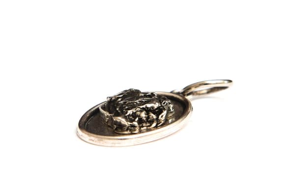 Bordeaux Dog, Dogue de Bordeaux, French Mastiff - halsband med en hund, hänge för en hundmamma, unika Art-Dog smycken