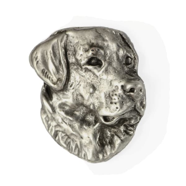 Labradorinnoutaja - kaulakoru koiran kanssa, riipus koiran äidille, ainutlaatuiset Art-Dog korut