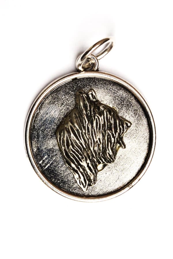 Ranskanpaimenkoira Briard, Berger de Brie - koiran kaulakoru, riipus koiran äidille, ainutlaatuiset Art-Dog korut