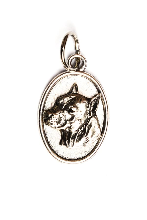 Amerikkalainen staffordshiren terrieri, Amstaff, Amstaf I - kaulakoru koiran kanssa, riipus koiran äidille, Art-Dogin ainutlaatuiset korut