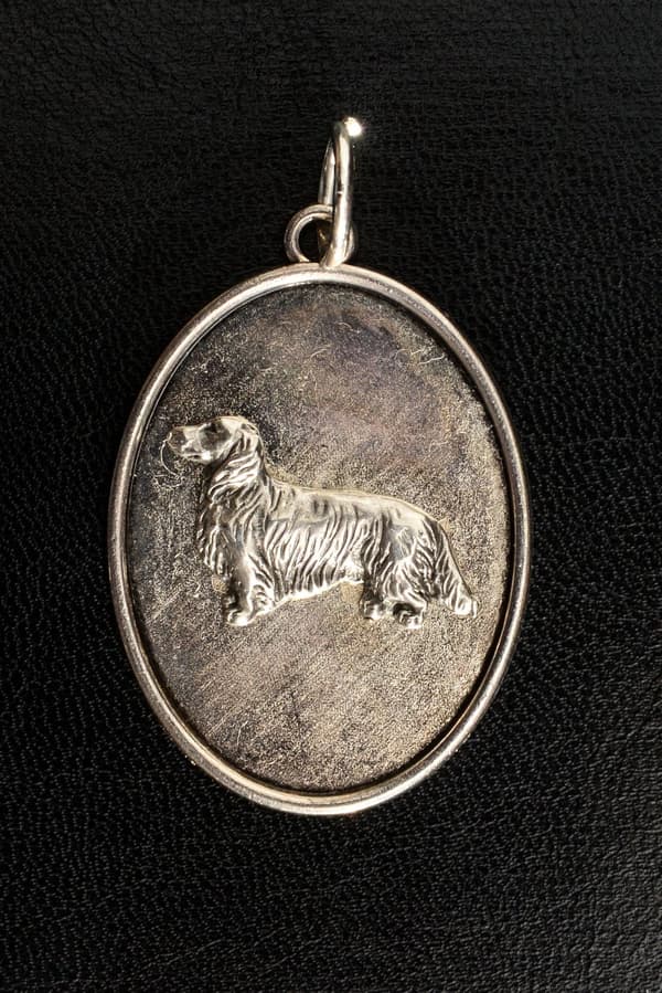 Tax III - halsband med en hund, hänge för en hunds mamma, unika Art-Dog smycken