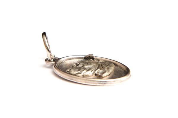 Staffordshire Bull Terrier, Staffik, Staffi - halsband med en hund, hänge för en hundmamma, unika smycken av Art-Dog