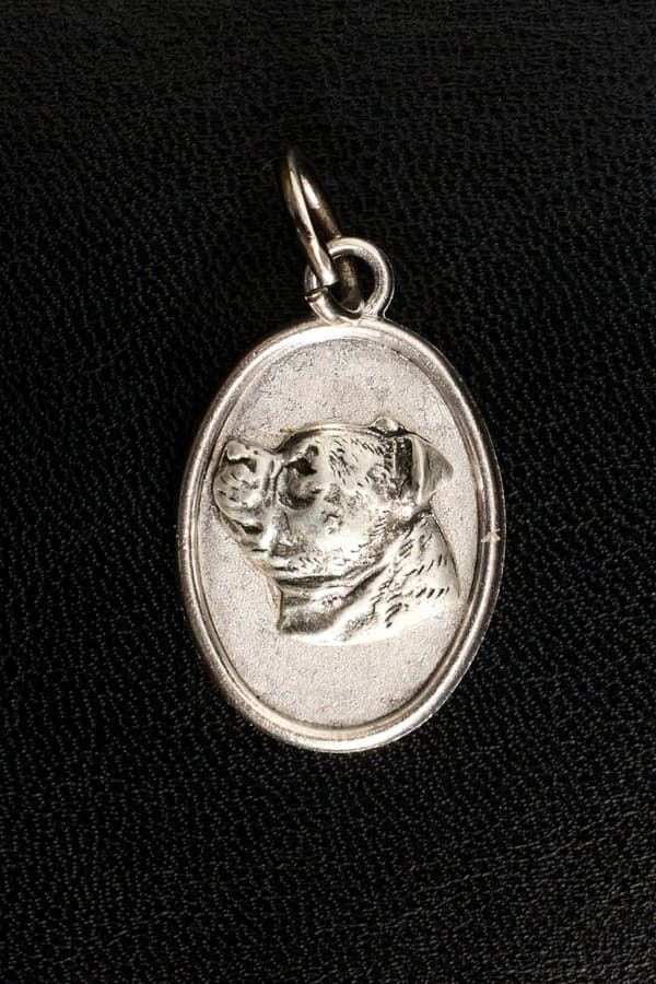 Staffordshire Bull Terrier, Staffik, Staffi - halsband med en hund, hänge för en hundmamma, unika smycken av Art-Dog