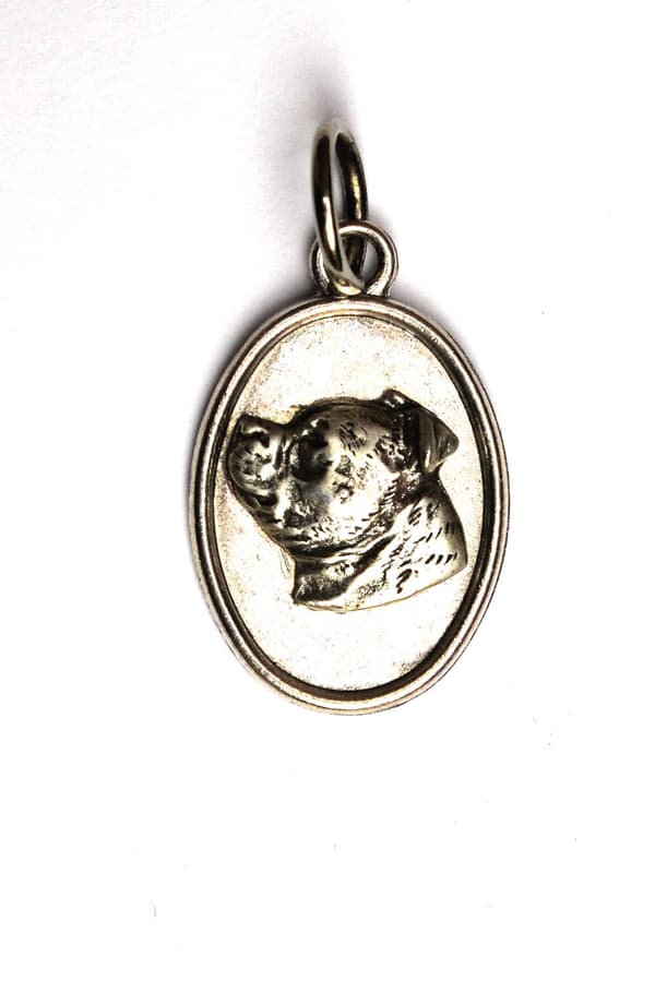 Staffordshire Bull Terrier, Staffik, Staffi - halsband med en hund, hänge för en hundmamma, unika smycken av Art-Dog