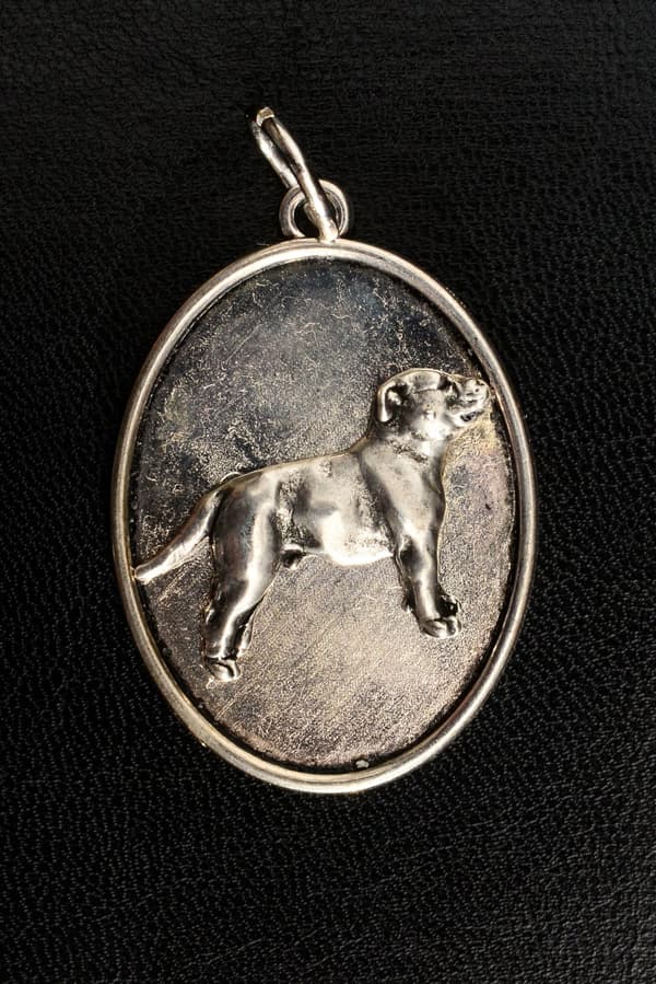 Staffordshiren bullterrieri, Staffik, Staffi II - kaulakoru koiran kanssa, riipus koiran äidille, Art-Dogin ainutlaatuiset korut