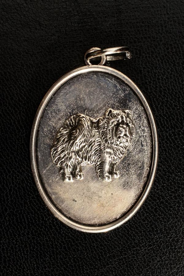 Chow Chow - ett halsband med en hund, ett hänge för en hundmamma, unika smycken av Art-Dog