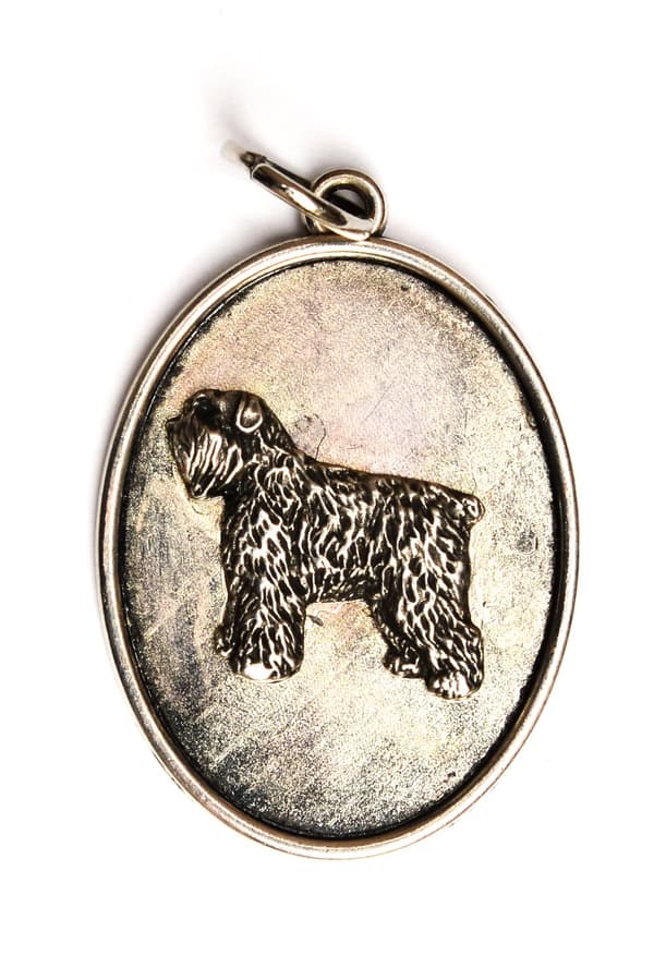 Bouvier des Flandres - ett halsband med en hund, ett hänge för en hundmamma, unika smycken från Art-Dog