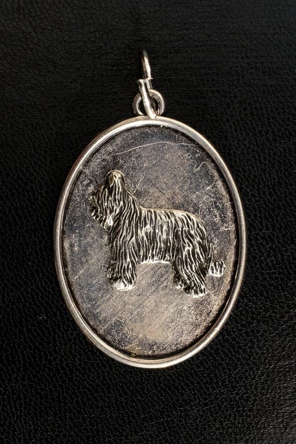 French Shepherd Briard, Berger de Brie II - halskæde med en hund, vedhæng til en hundemor, unikke smykker fra Art-Dog
