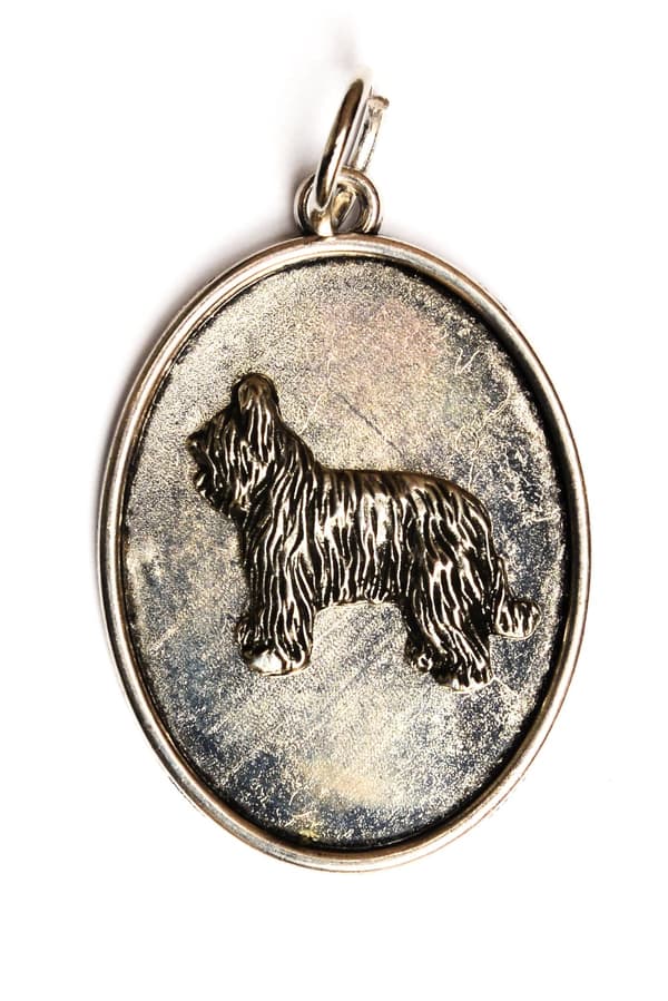 French Shepherd Briard, Berger de Brie II - halskæde med en hund, vedhæng til en hundemor, unikke smykker fra Art-Dog