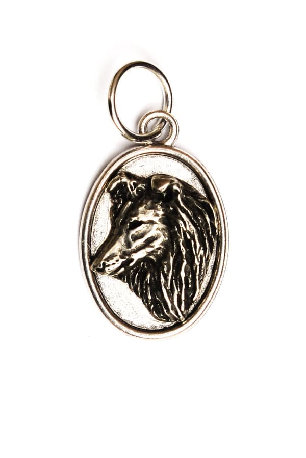 Sheltie - halsband med en hund, hänge för en hundmamma, unika Art-Dog smycken
