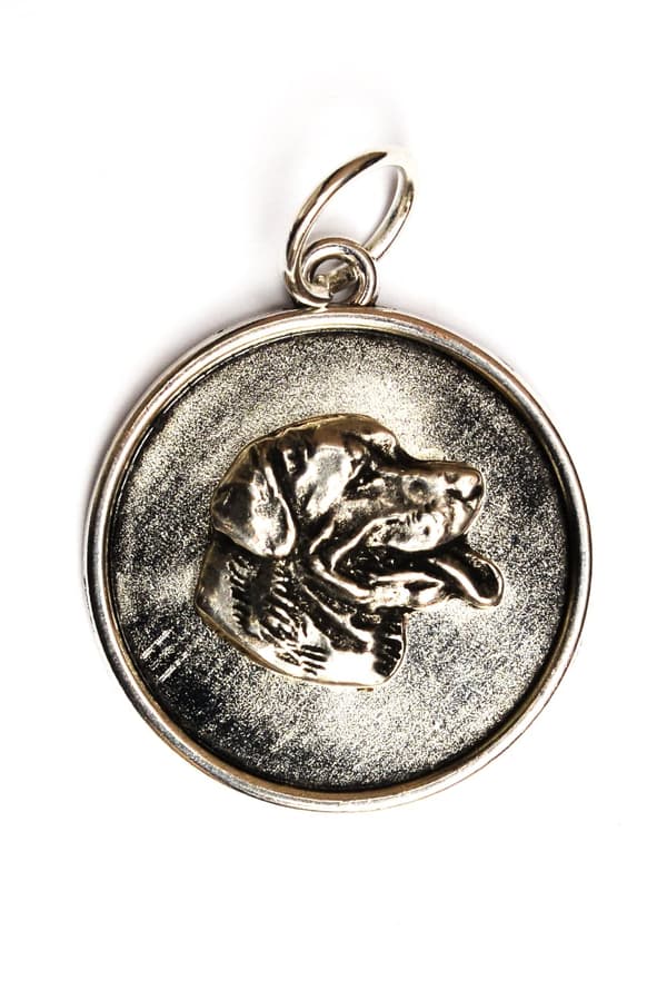 Rottweiler II - kaulakoru koiran kanssa, riipus koiran äidille, ainutlaatuiset Art-Dog korut