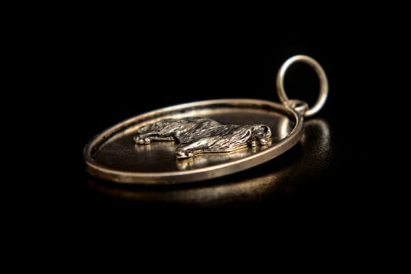 Långhårig Scottish Shepherd, Collie rough - halsband med en hund, hänge för en hunds mamma, unika Art-Dog smycken