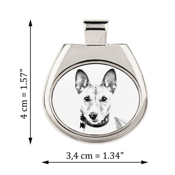 Basenji, Basenji, Kongo hund - halsband med en hund, personligt hänge med foto, unikt halsband för kvinnor och män av Art-Dog
