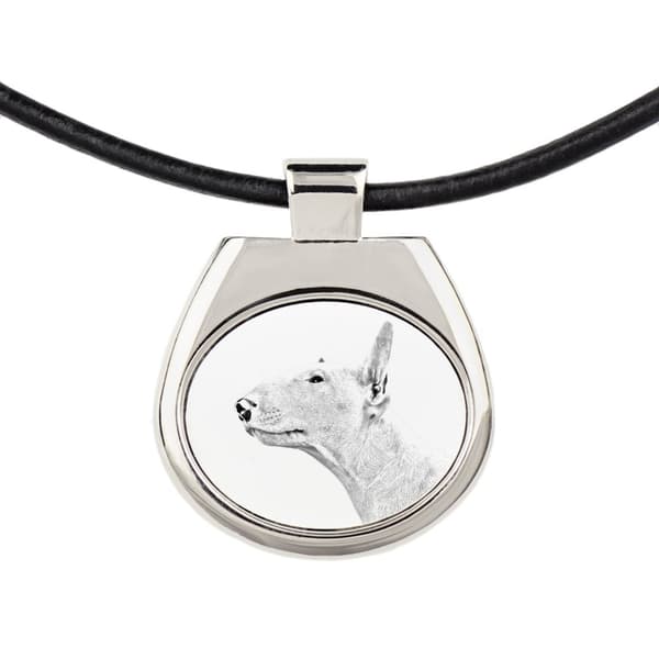 Bullterrieri, Bullterrieri - kaulakoru koiran kanssa, persoonallinen riipus valokuvalla, Art-Dogin ainutlaatuinen kaulakoru naisille ja miehille
