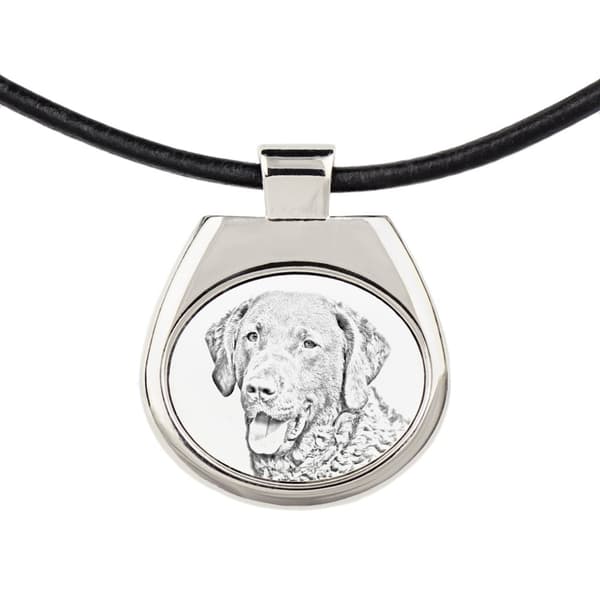 Chesapeake Bay Retriever - halsband med en hund, personligt hänge med foto, unikt halsband för kvinnor och män av Art-Dog