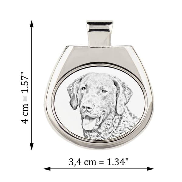 Chesapeake Bay Retriever - halsband med en hund, personligt hänge med foto, unikt halsband för kvinnor och män av Art-Dog