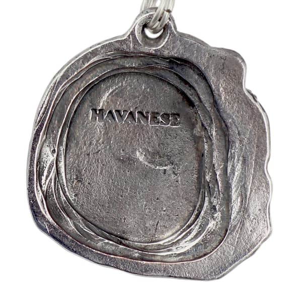 Havanese, Havanese - halsband med hund, silverpläterat hänge för en hundfantast, unika Art-Dog smycken