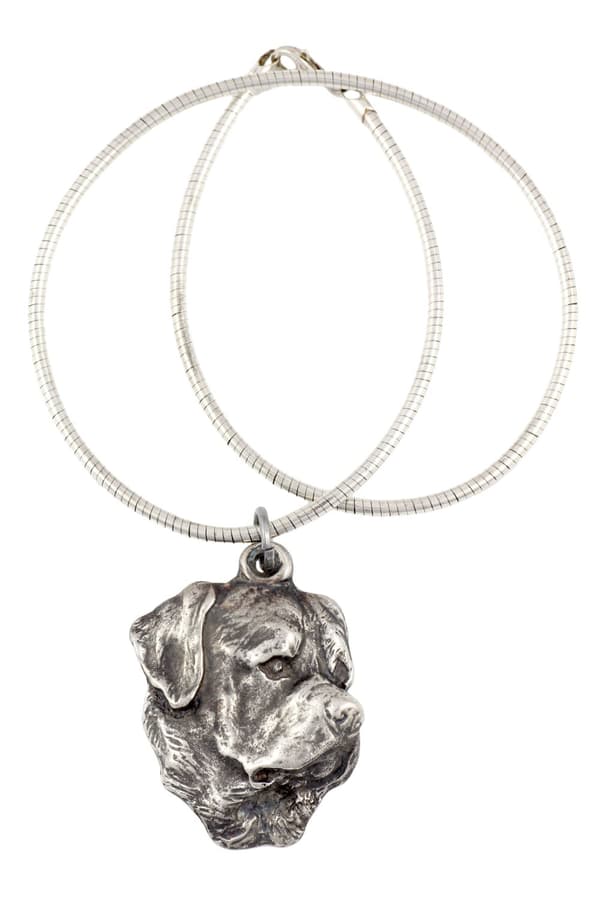 Rottweiler I - ett halsband med en hund, unika smycken för en hundfantast, ett unikt hänge på en orm av Art-Dog