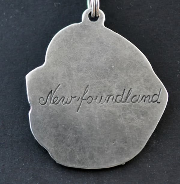 Newfoundland, Newfoundland, Wodołaz - en halskæde med en hund, unikke smykker til en hundefan, et unikt vedhæng på en slange fra Art-Dog