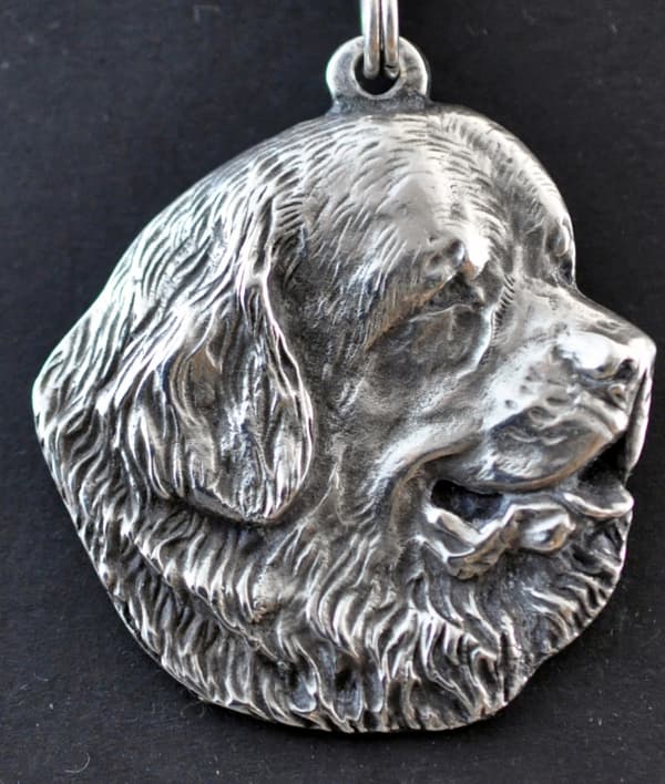 Newfoundland, Newfoundland, Wodołaz - en halskæde med en hund, unikke smykker til en hundefan, et unikt vedhæng på en slange fra Art-Dog